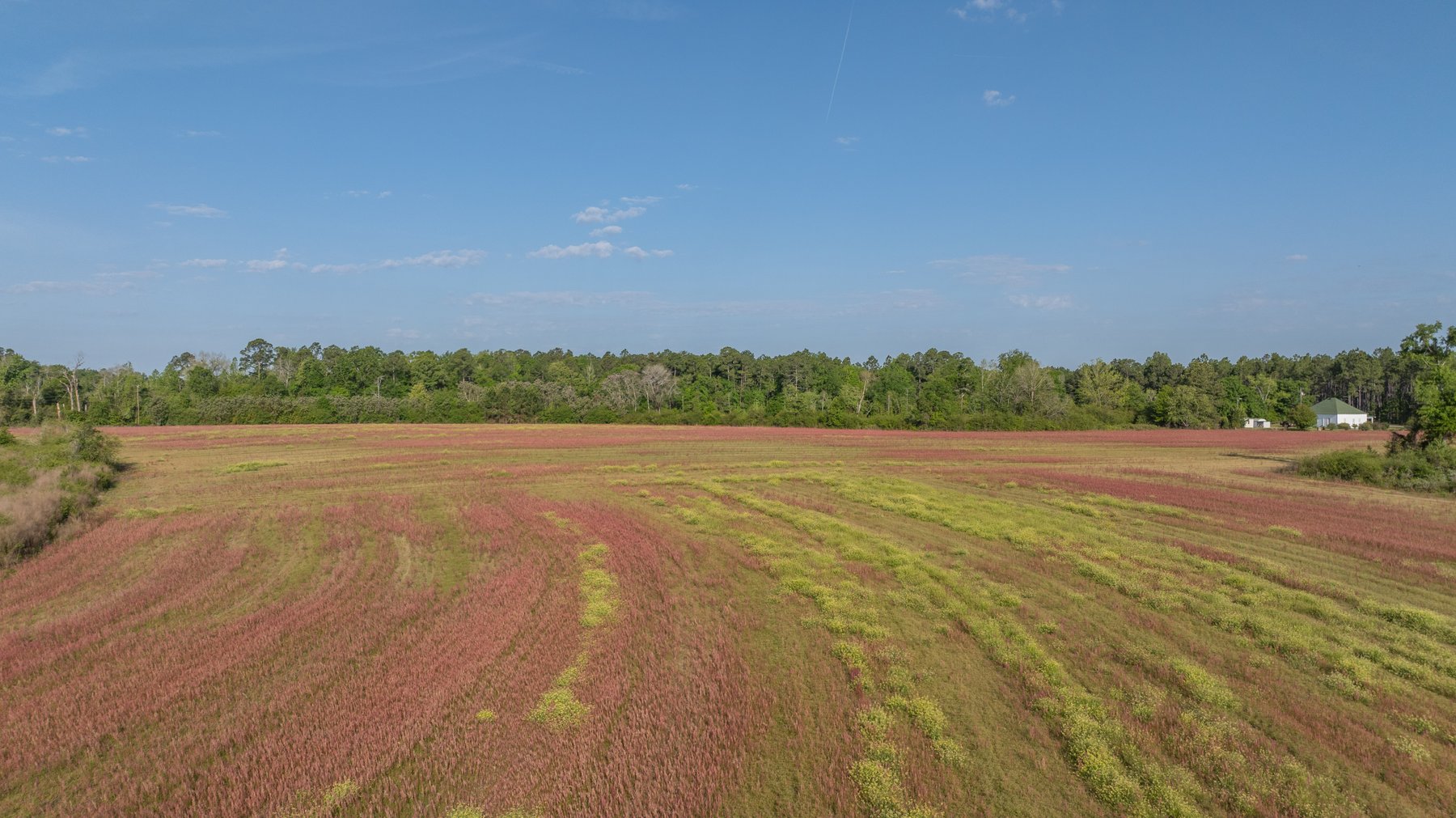 Image for 118+/- Acres - Fowl Hill Farms - Mixed Use Recreational Property w/ Row Crop Farmland