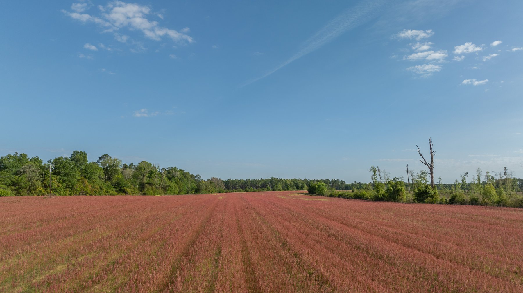 Image for 118+/- Acres - Fowl Hill Farms - Mixed Use Recreational Property w/ Row Crop Farmland