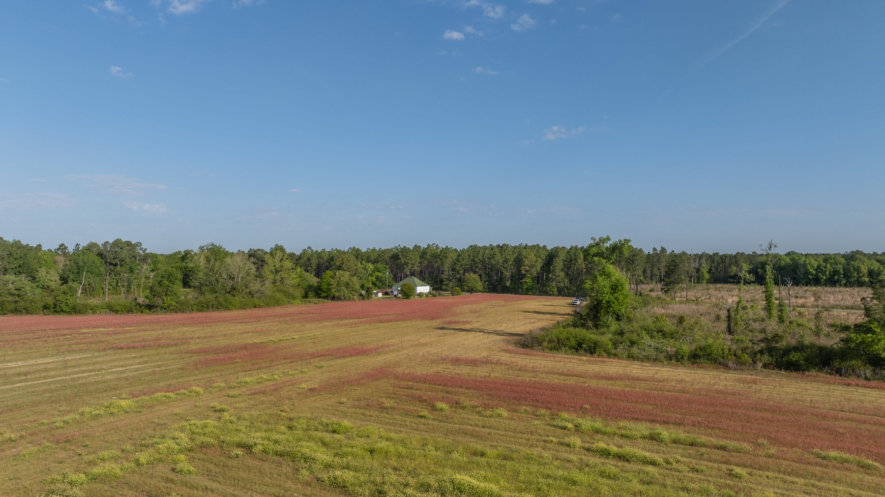 Image for 118+/- Acres - Fowl Hill Farms - Mixed Use Recreational Property w/ Row Crop Farmland