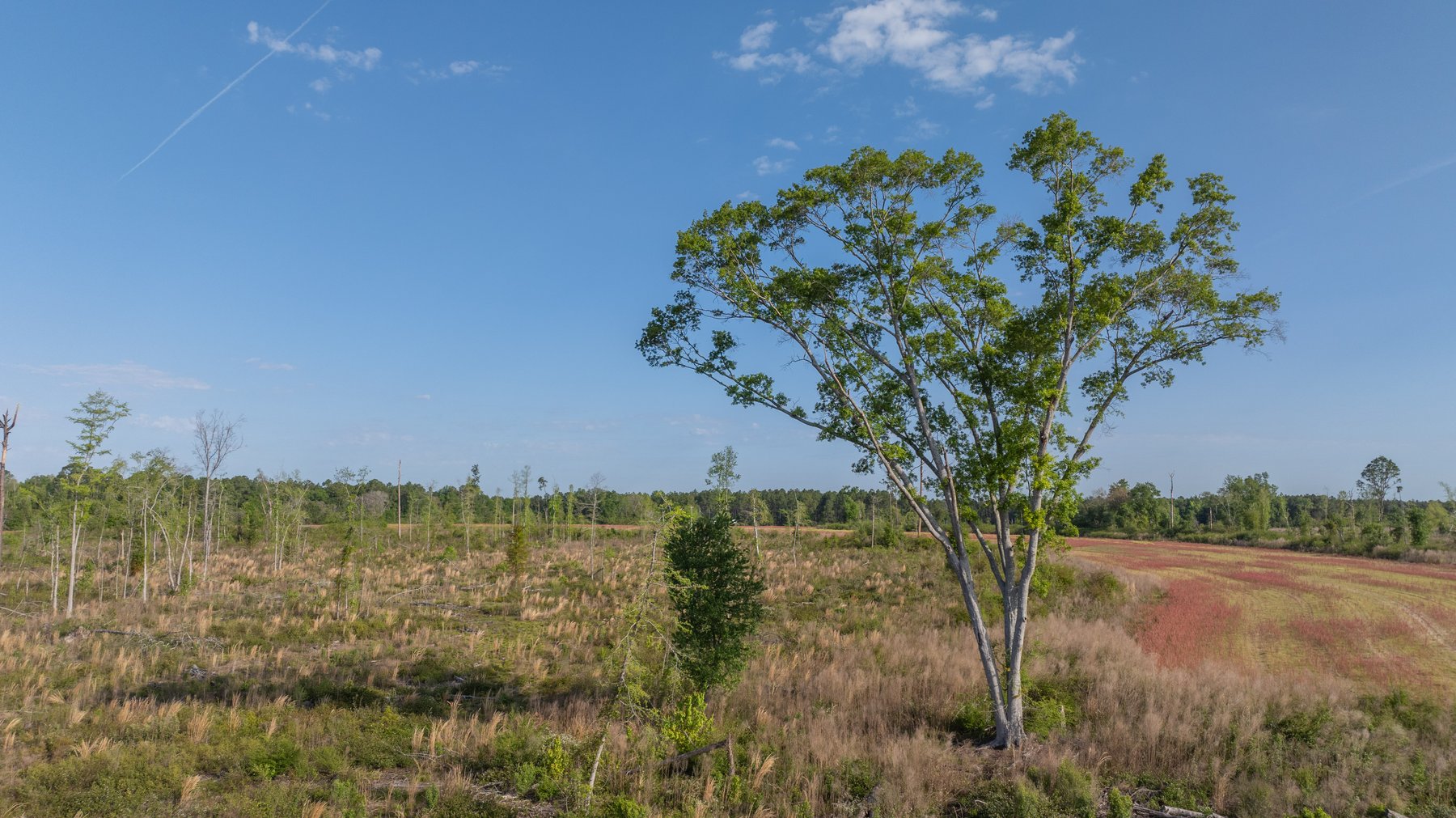 Image for 118+/- Acres - Fowl Hill Farms - Mixed Use Recreational Property w/ Row Crop Farmland