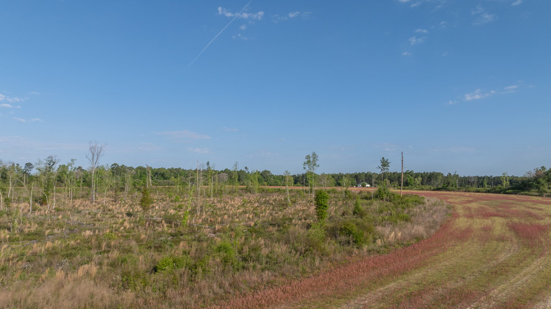 Image for 118+/- Acres - Fowl Hill Farms - Mixed Use Recreational Property w/ Row Crop Farmland