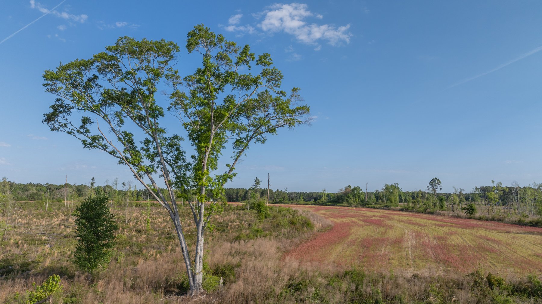 Image for 118+/- Acres - Fowl Hill Farms - Mixed Use Recreational Property w/ Row Crop Farmland