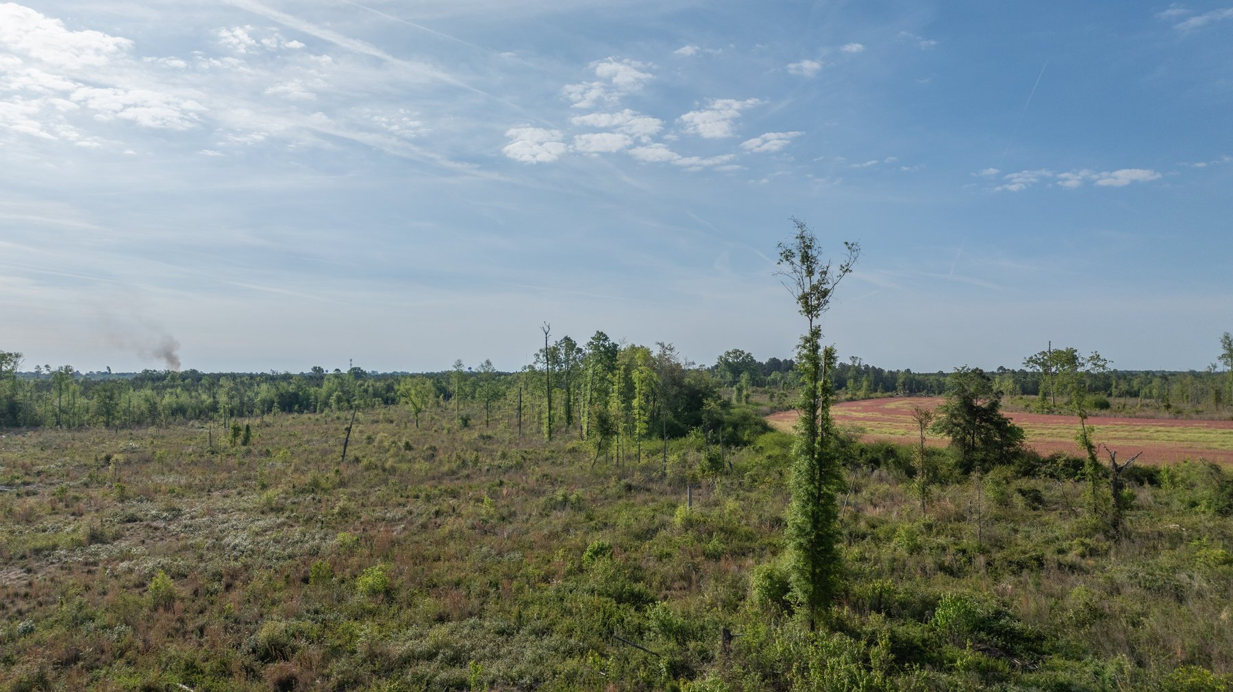 Image for 118+/- Acres - Fowl Hill Farms - Mixed Use Recreational Property w/ Row Crop Farmland