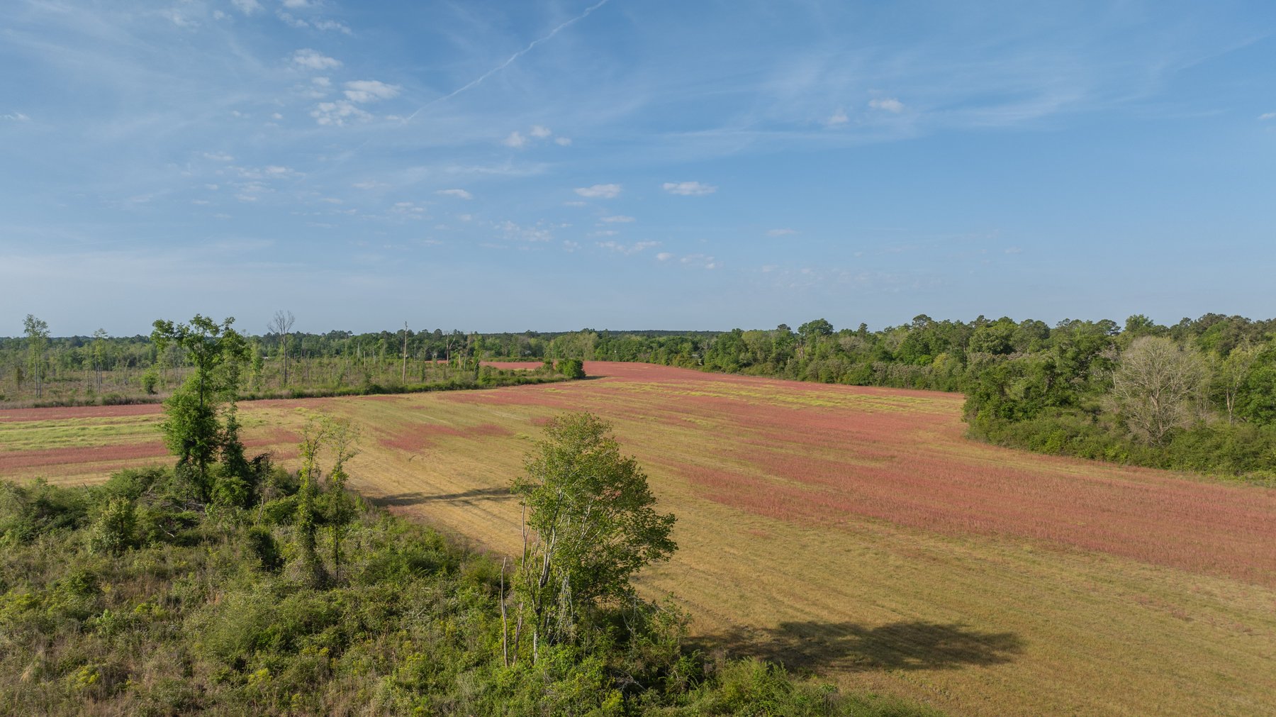Image for 118+/- Acres - Fowl Hill Farms - Mixed Use Recreational Property w/ Row Crop Farmland
