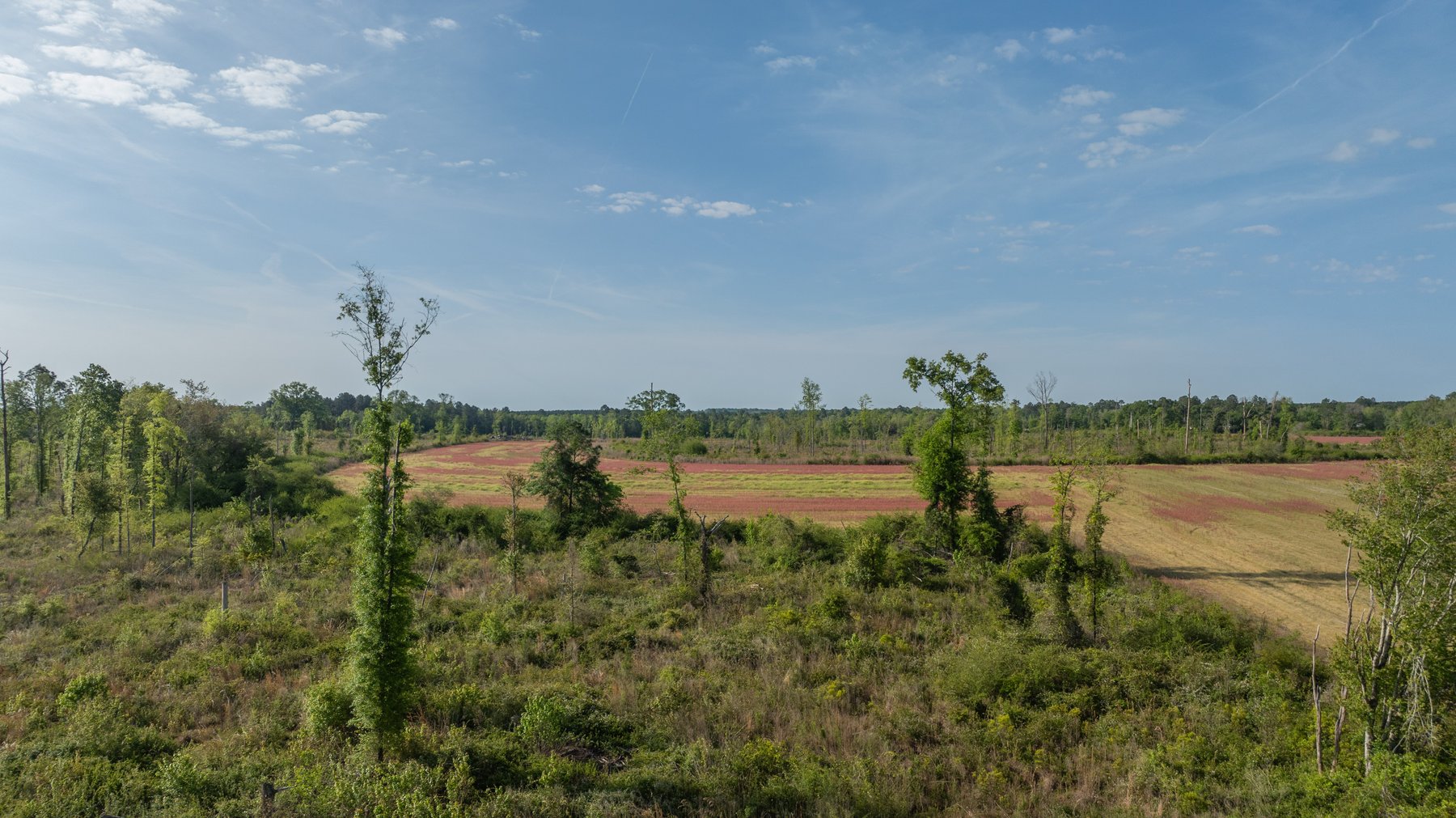 Image for 118+/- Acres - Fowl Hill Farms - Mixed Use Recreational Property w/ Row Crop Farmland