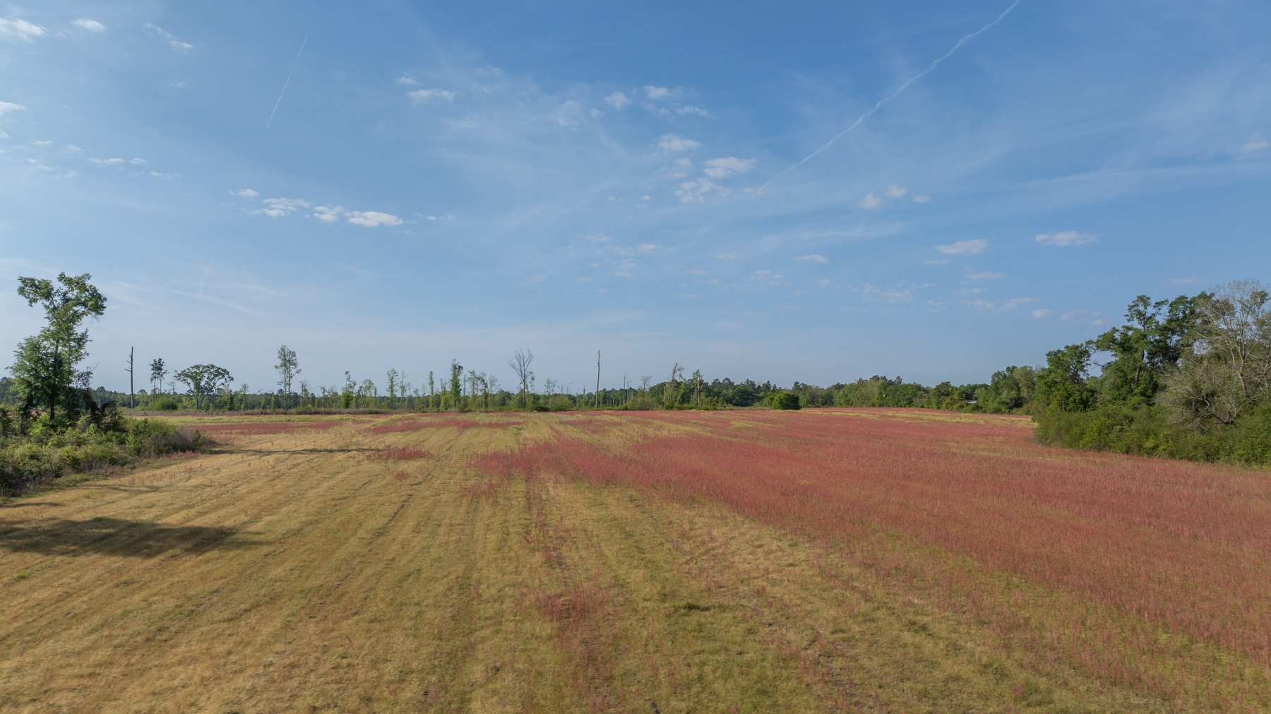 Image for 118+/- Acres - Fowl Hill Farms - Mixed Use Recreational Property w/ Row Crop Farmland
