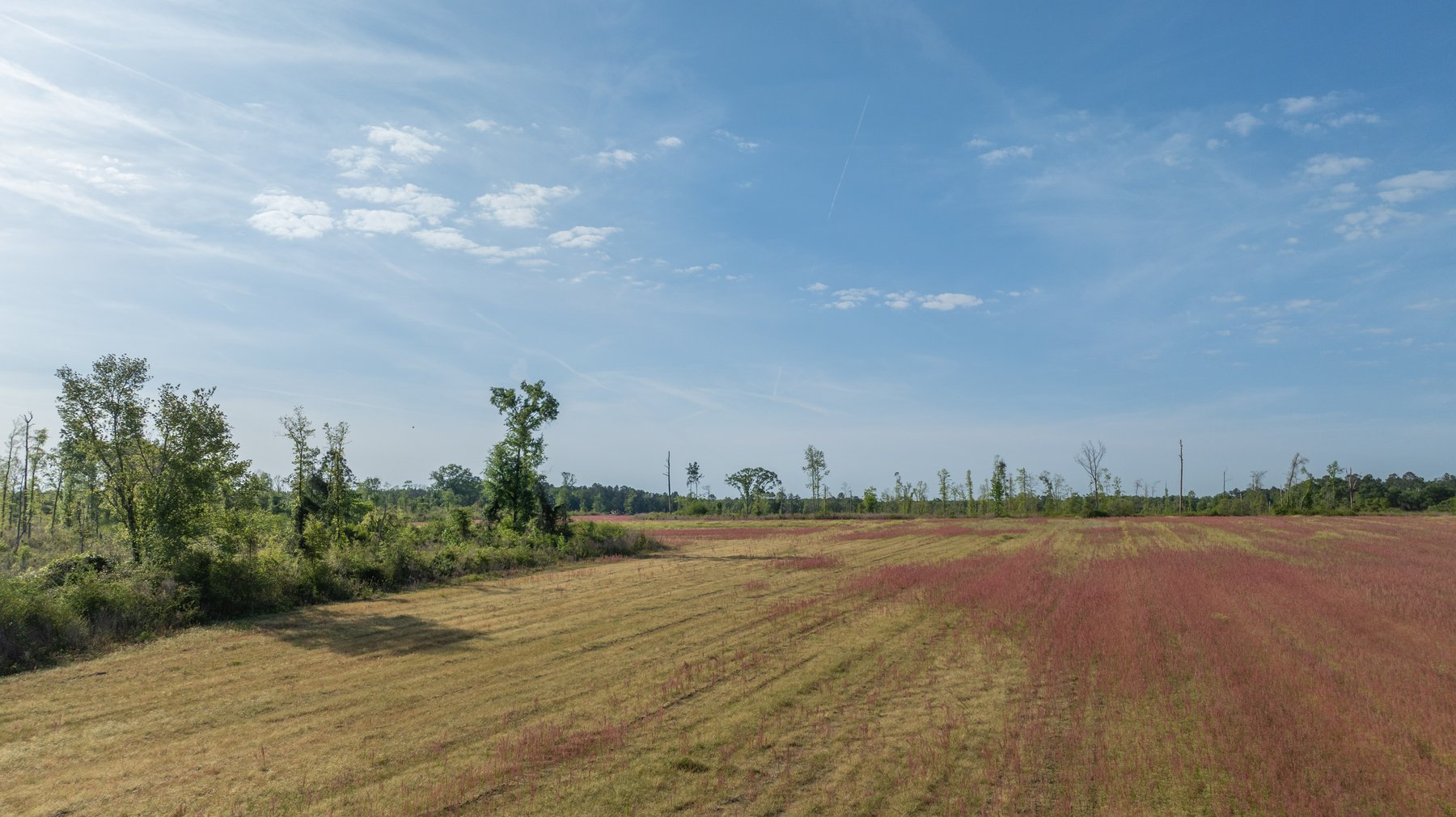 Image for 118+/- Acres - Fowl Hill Farms - Mixed Use Recreational Property w/ Row Crop Farmland