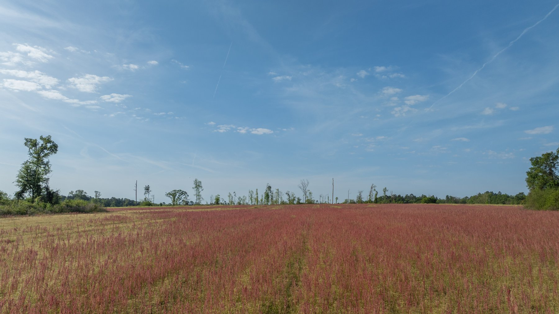 Image for 118+/- Acres - Fowl Hill Farms - Mixed Use Recreational Property w/ Row Crop Farmland