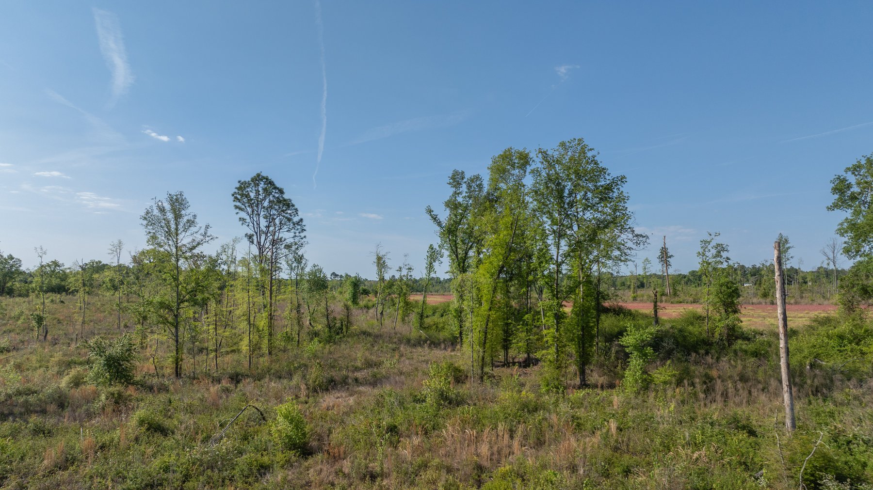 Image for 118+/- Acres - Fowl Hill Farms - Mixed Use Recreational Property w/ Row Crop Farmland