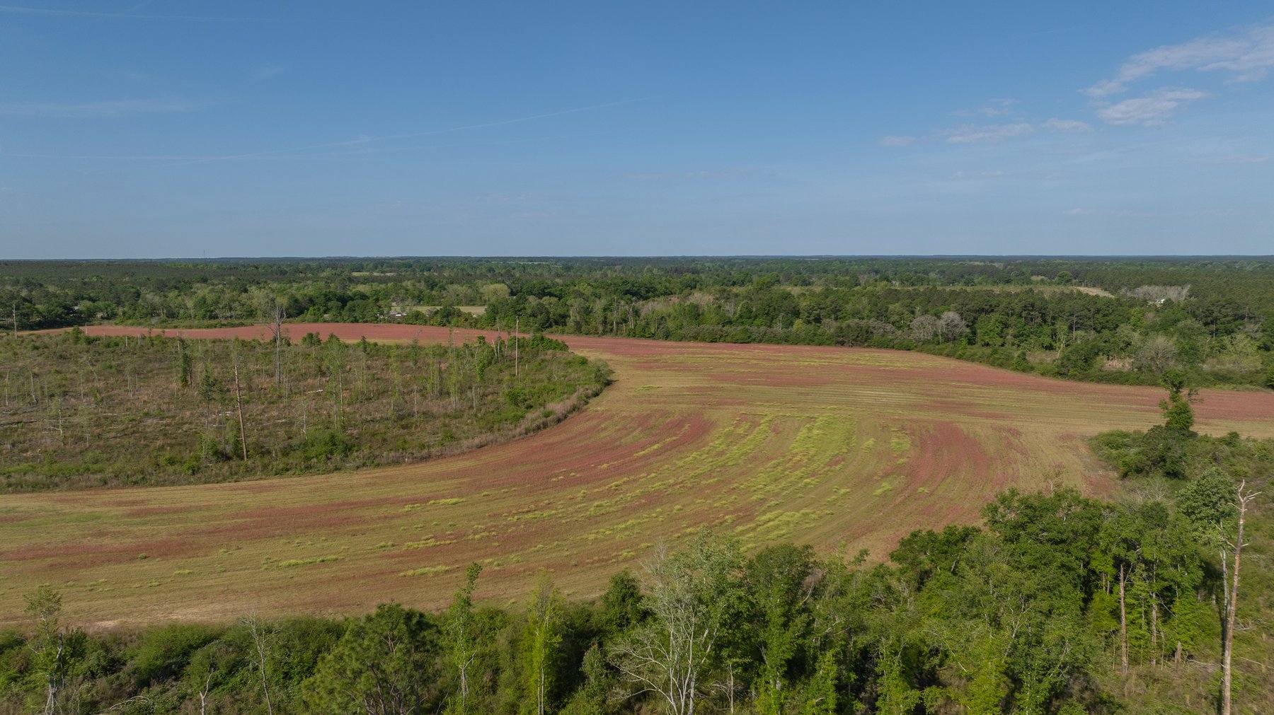 Image for 118+/- Acres - Fowl Hill Farms - Mixed Use Recreational Property w/ Row Crop Farmland