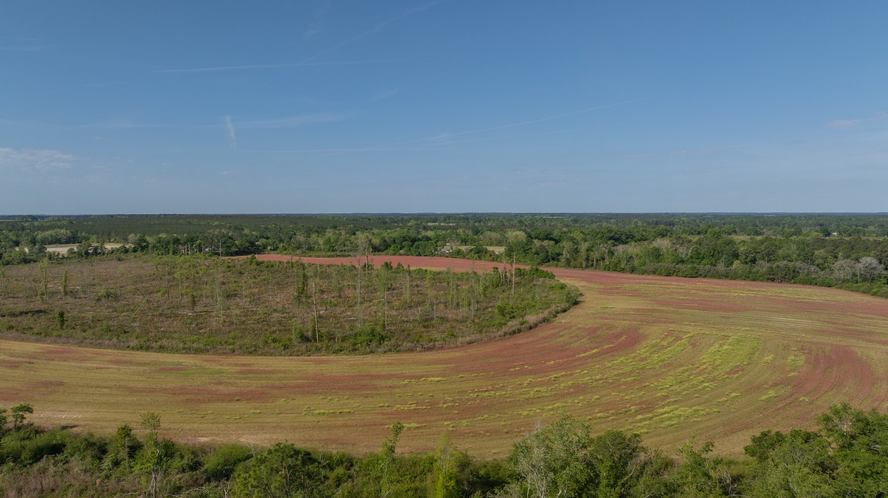 Image for 118+/- Acres - Fowl Hill Farms - Mixed Use Recreational Property w/ Row Crop Farmland