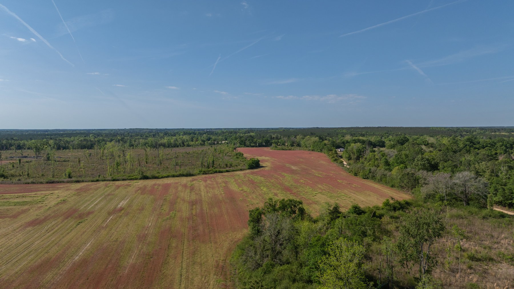 Image for 118+/- Acres - Fowl Hill Farms - Mixed Use Recreational Property w/ Row Crop Farmland
