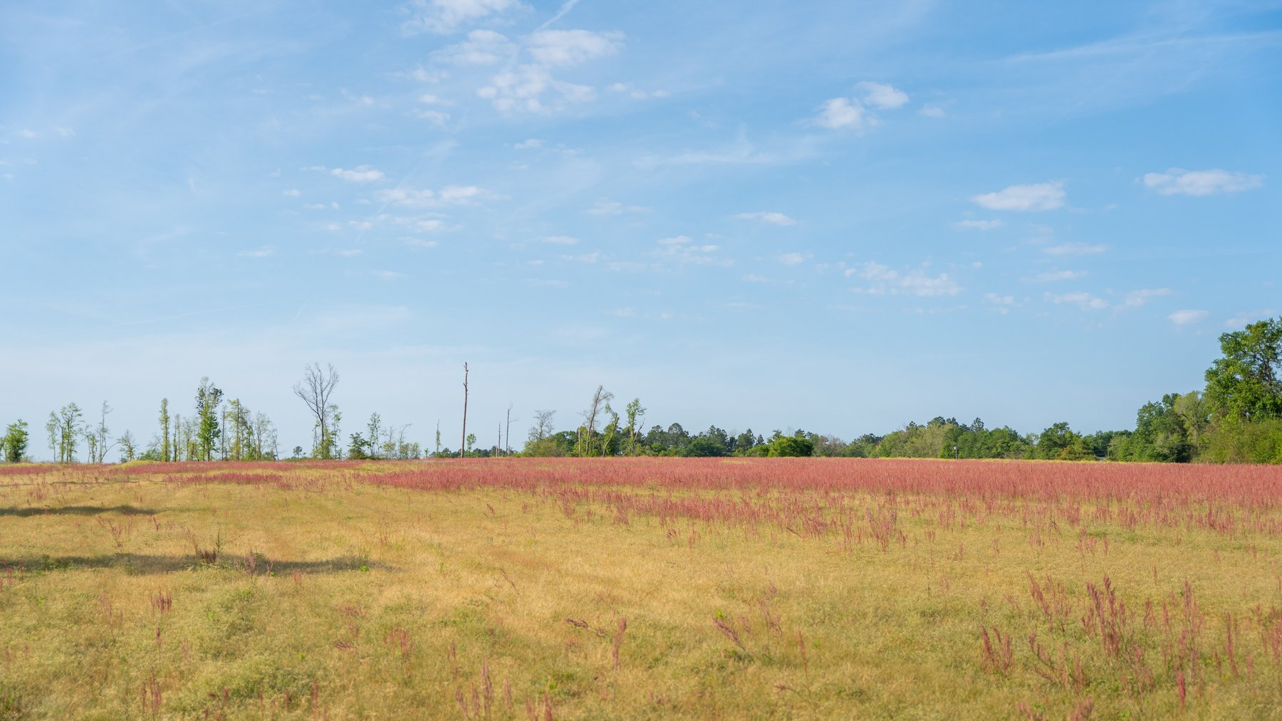 Image for 118+/- Acres - Fowl Hill Farms - Mixed Use Recreational Property w/ Row Crop Farmland
