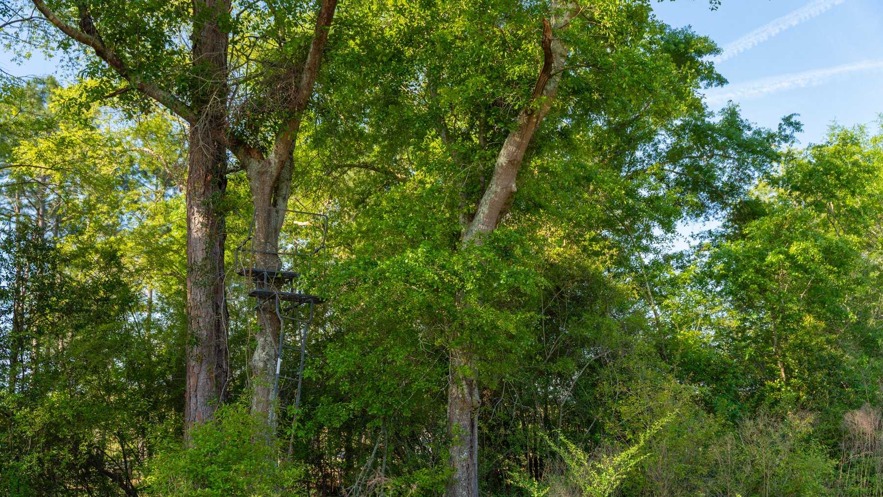 Image for 118+/- Acres - Fowl Hill Farms - Mixed Use Recreational Property w/ Row Crop Farmland