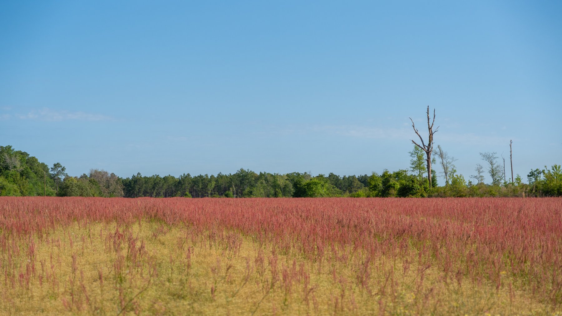 Image for 118+/- Acres - Fowl Hill Farms - Mixed Use Recreational Property w/ Row Crop Farmland