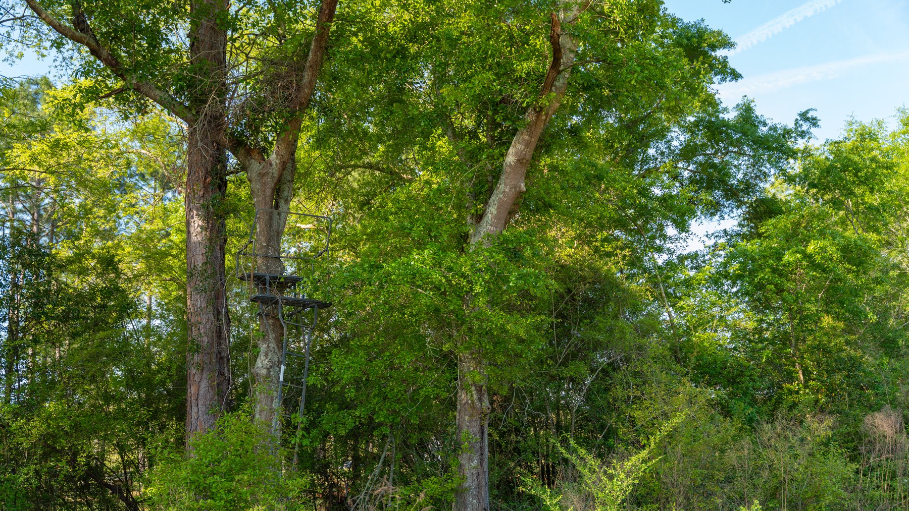 Image for 118+/- Acres - Fowl Hill Farms - Mixed Use Recreational Property w/ Row Crop Farmland