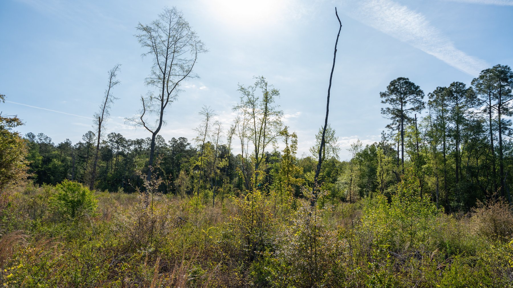 Image for 118+/- Acres - Fowl Hill Farms - Mixed Use Recreational Property w/ Row Crop Farmland