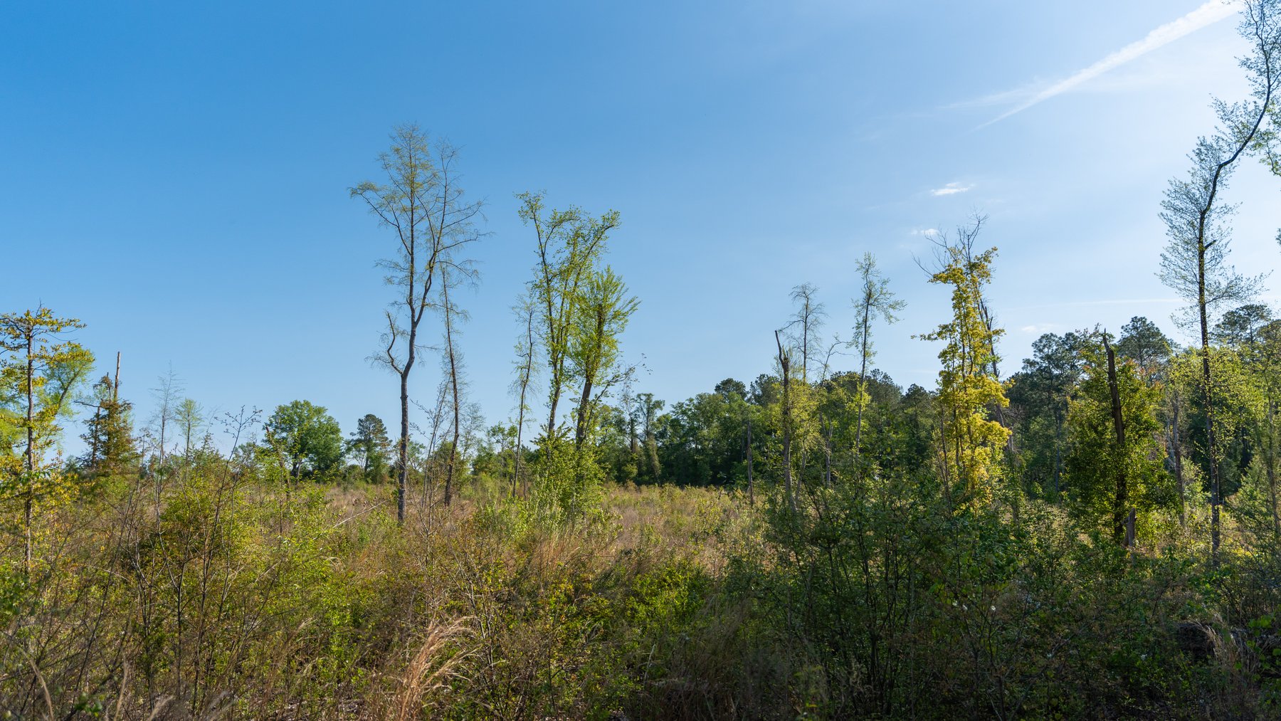 Image for 118+/- Acres - Fowl Hill Farms - Mixed Use Recreational Property w/ Row Crop Farmland