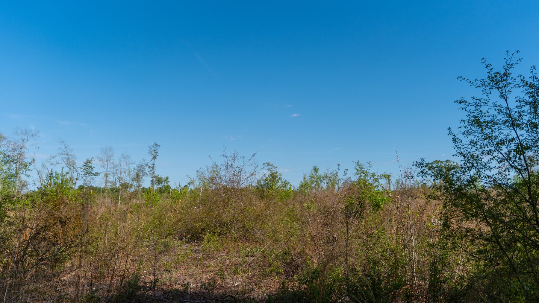 Image for 118+/- Acres - Fowl Hill Farms - Mixed Use Recreational Property w/ Row Crop Farmland