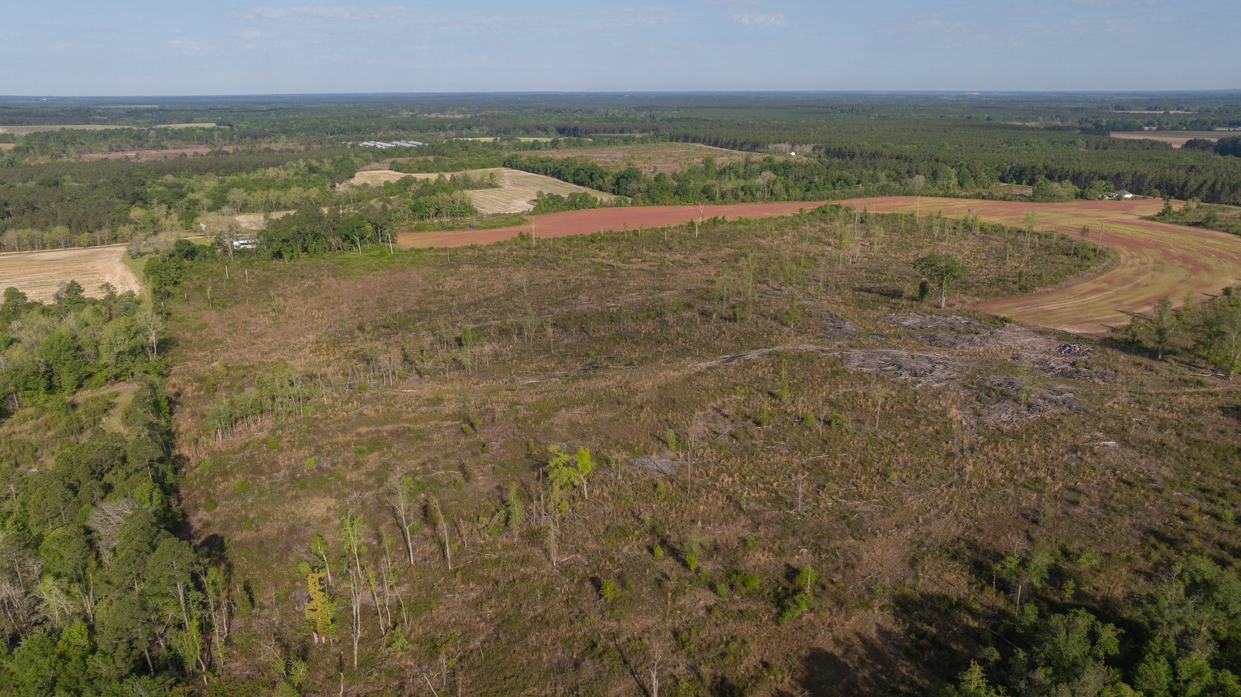 Image for 118+/- Acres - Fowl Hill Farms - Mixed Use Recreational Property w/ Row Crop Farmland