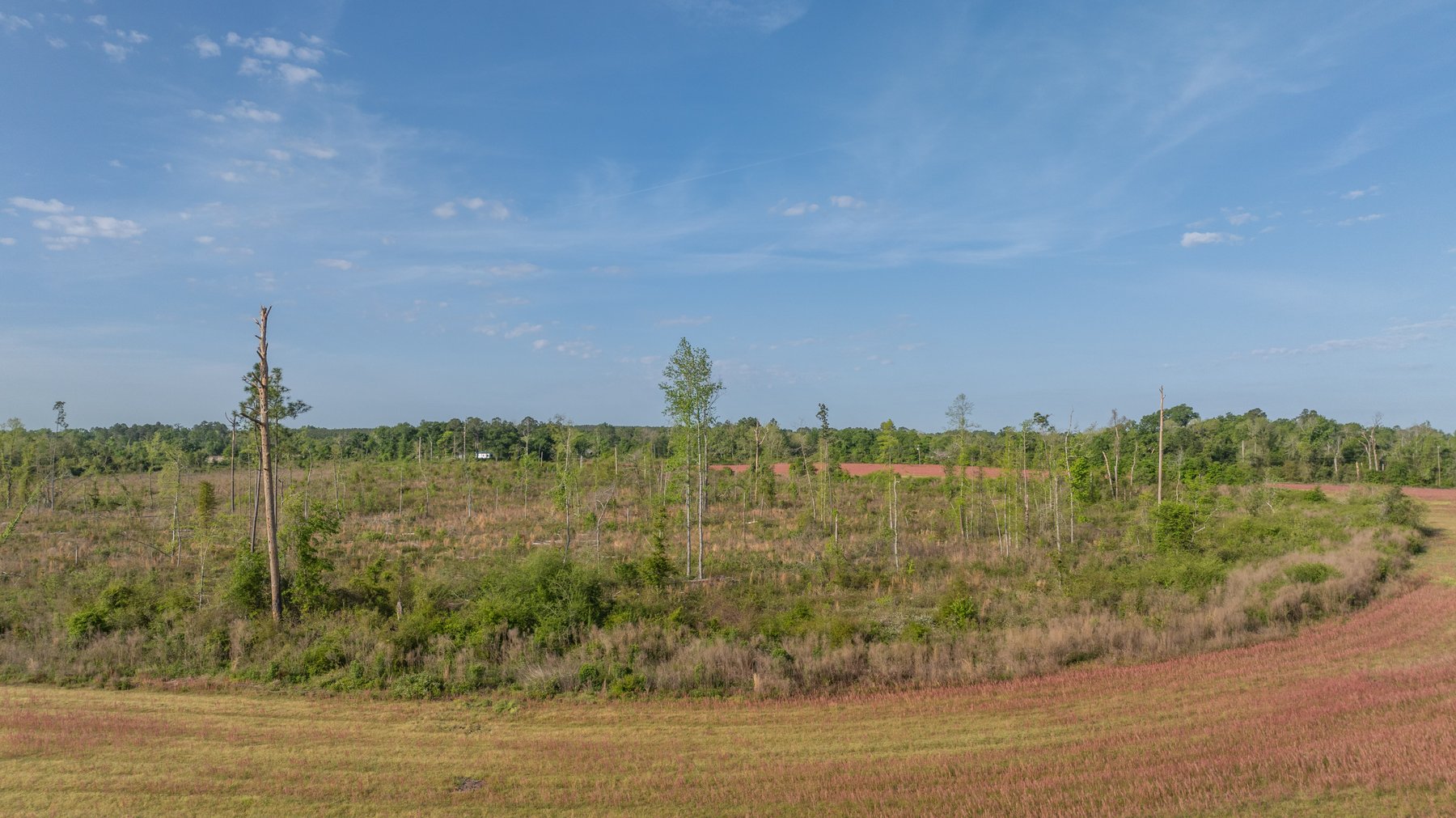 Image for 118+/- Acres - Fowl Hill Farms - Mixed Use Recreational Property w/ Row Crop Farmland