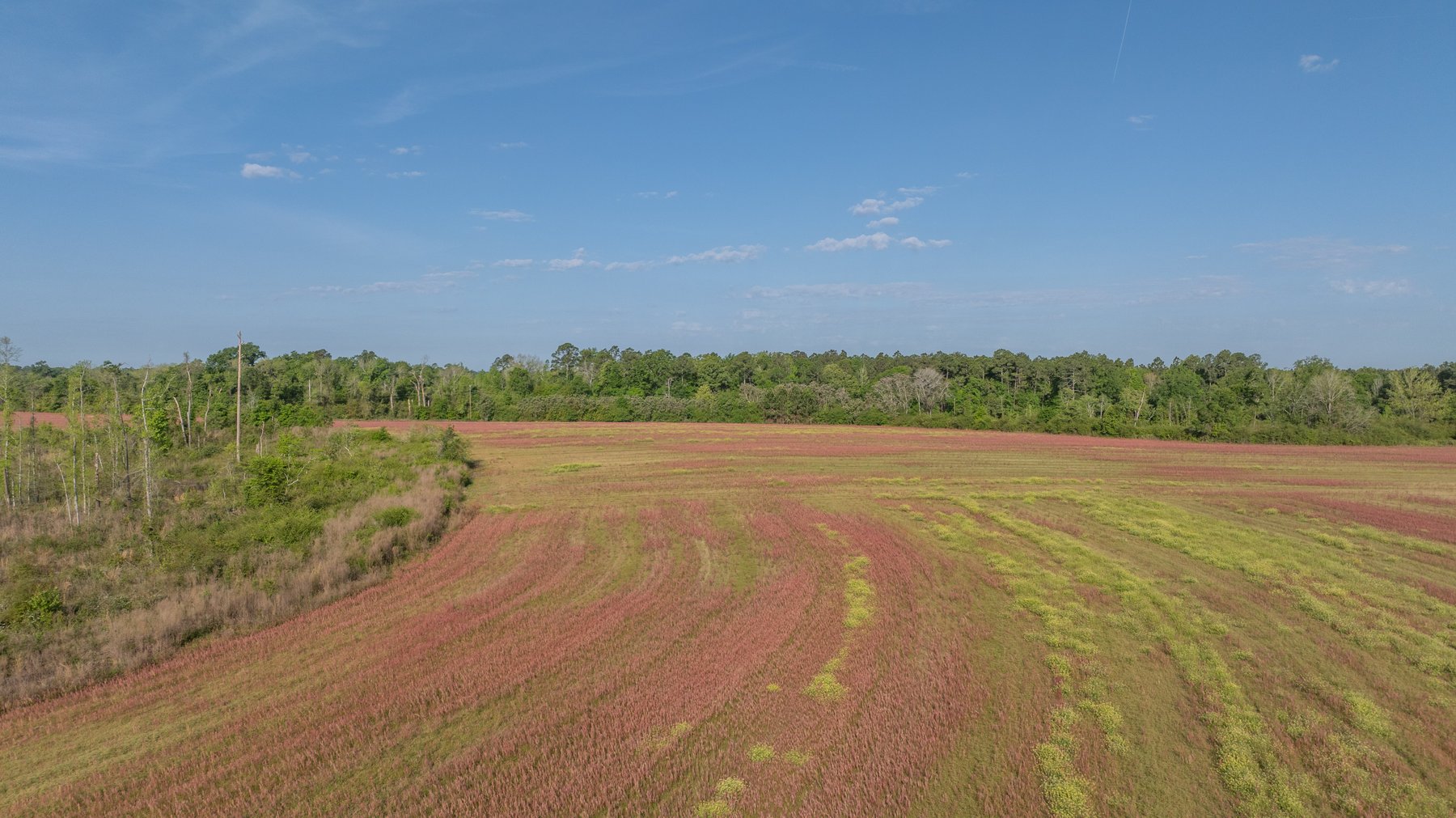 Image for 118+/- Acres - Fowl Hill Farms - Mixed Use Recreational Property w/ Row Crop Farmland