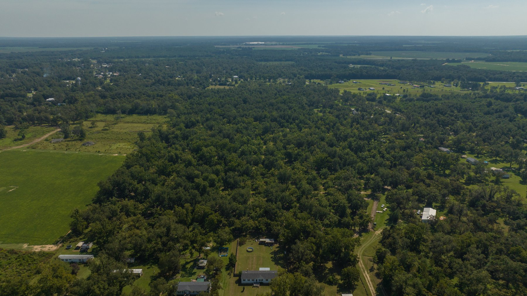 Image for 80.78+/- Acres - Turn-Key Pecan Operation w/ Row Crop Farmland
