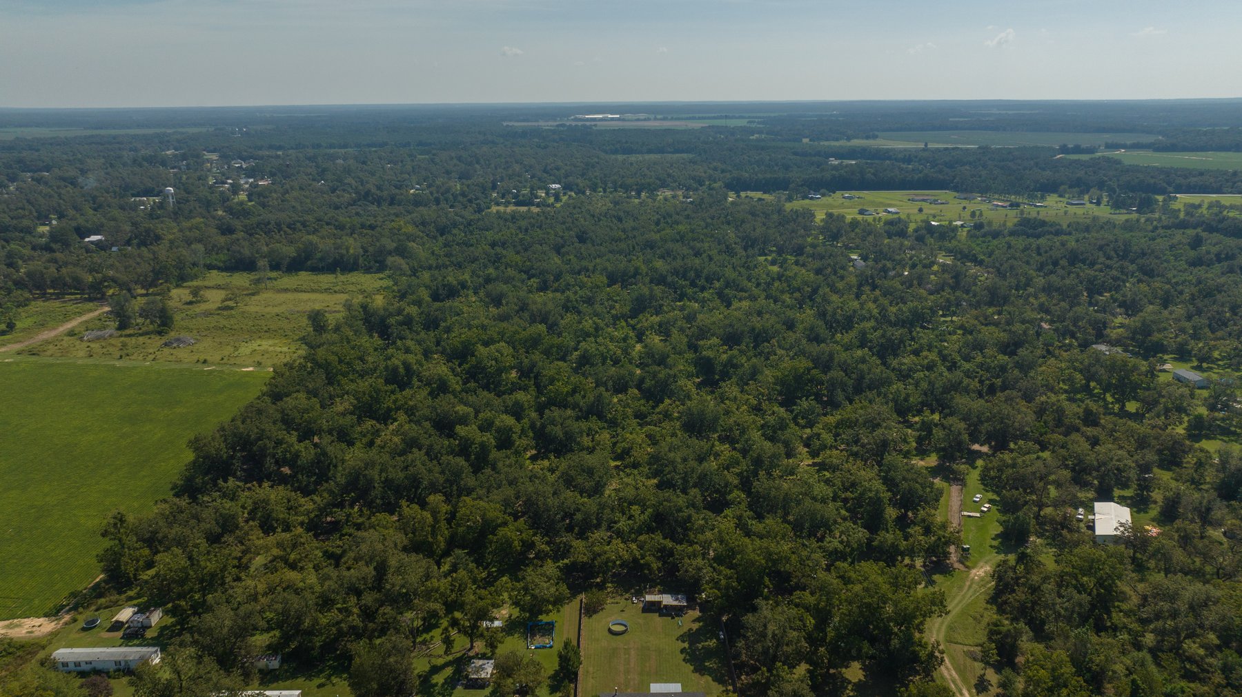 Image for 80.78+/- Acres - Turn-Key Pecan Operation w/ Row Crop Farmland