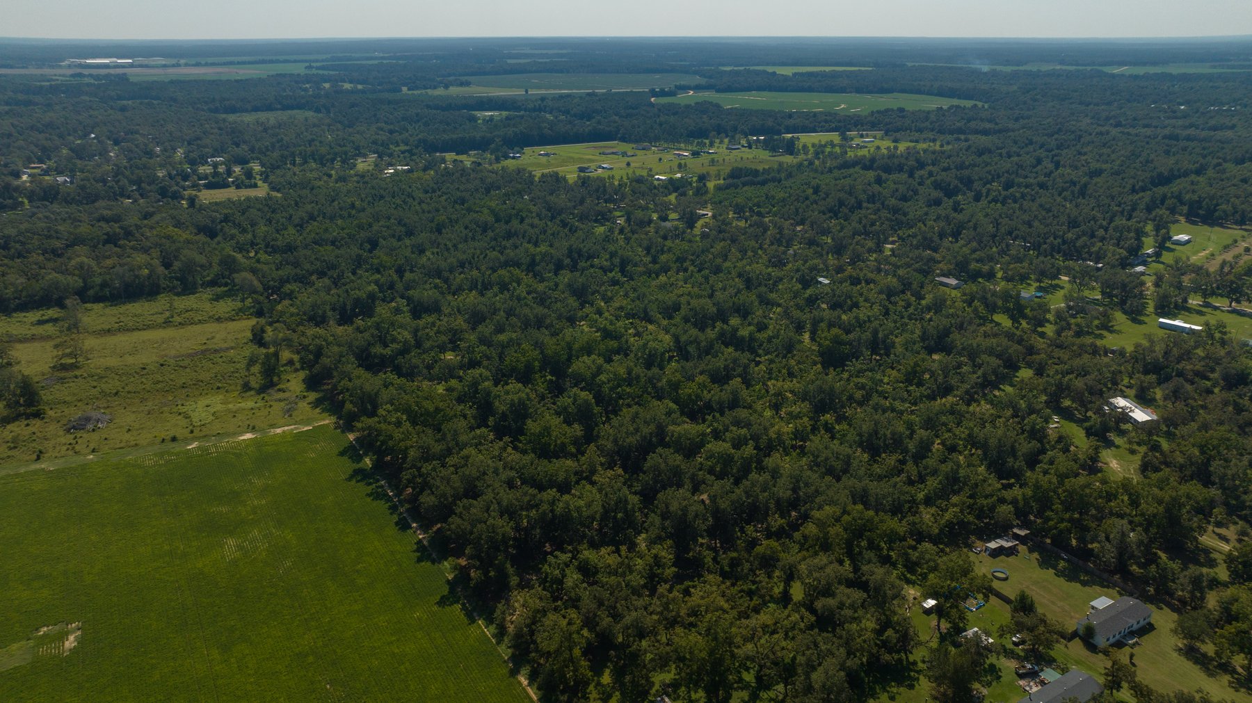 Image for 80.78+/- Acres - Turn-Key Pecan Operation w/ Row Crop Farmland