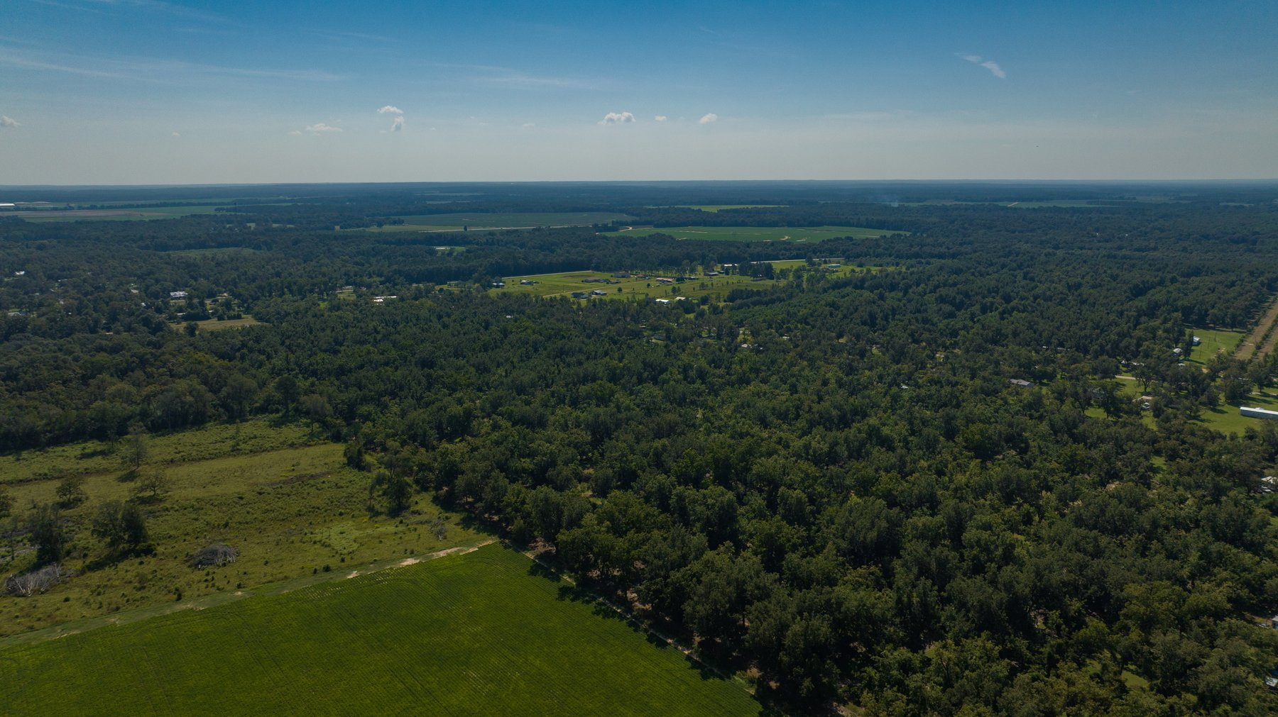 Image for 80.78+/- Acres - Turn-Key Pecan Operation w/ Row Crop Farmland