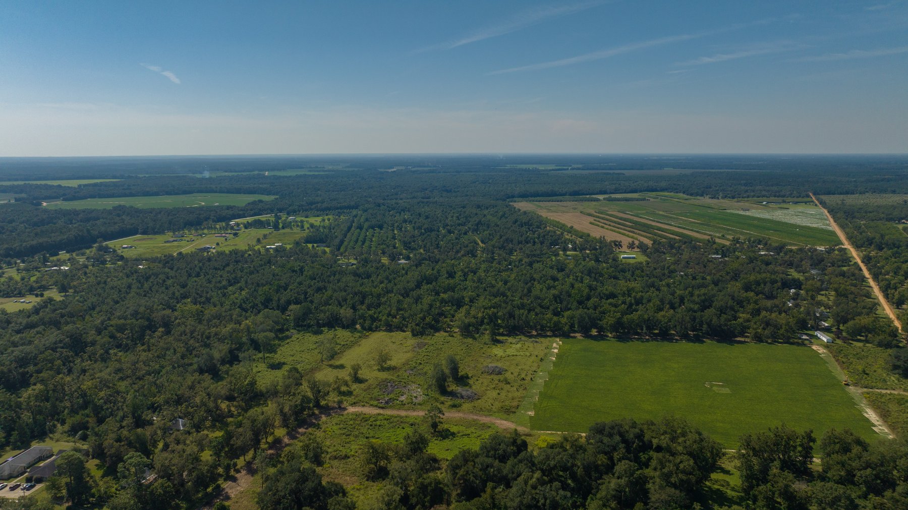 Image for 80.78+/- Acres - Turn-Key Pecan Operation w/ Row Crop Farmland