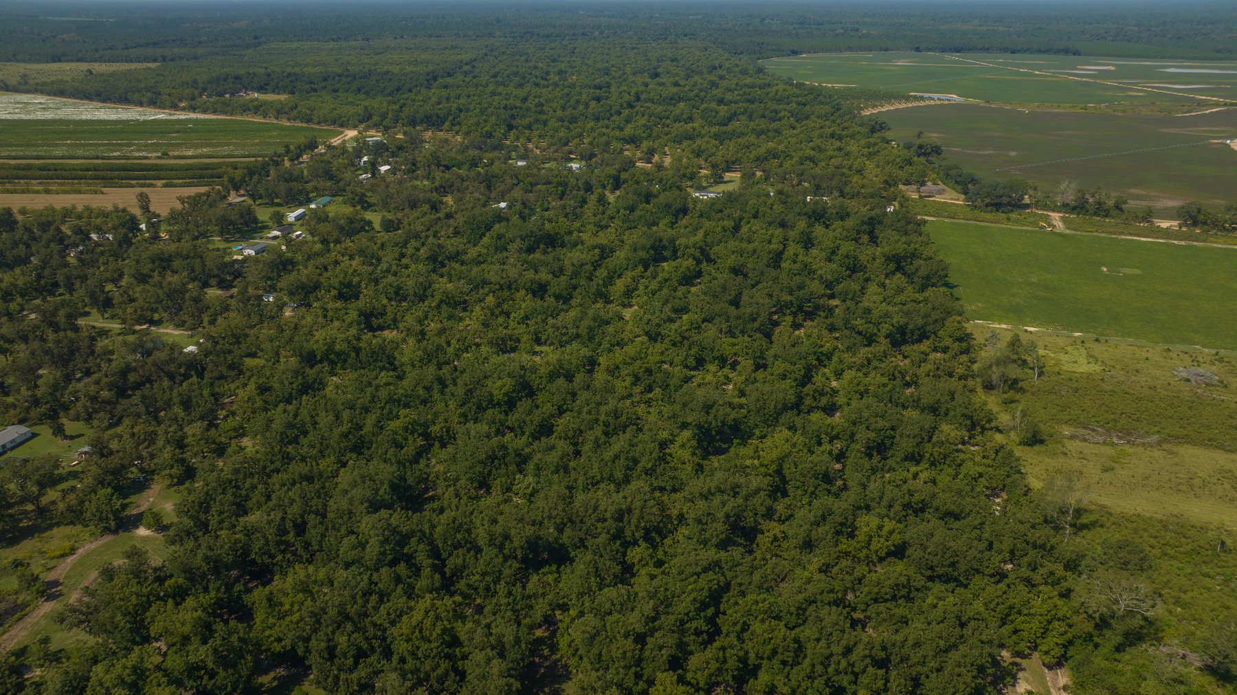Image for 80.78+/- Acres - Turn-Key Pecan Operation w/ Row Crop Farmland