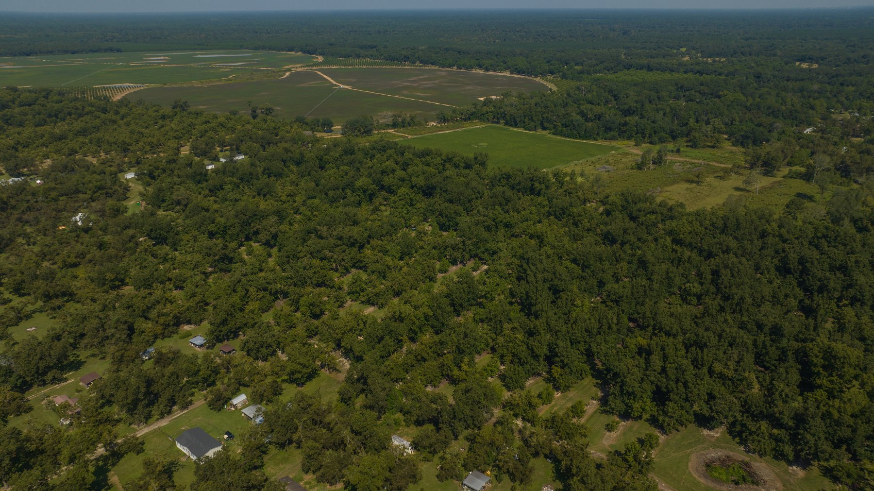 Image for 80.78+/- Acres - Turn-Key Pecan Operation w/ Row Crop Farmland