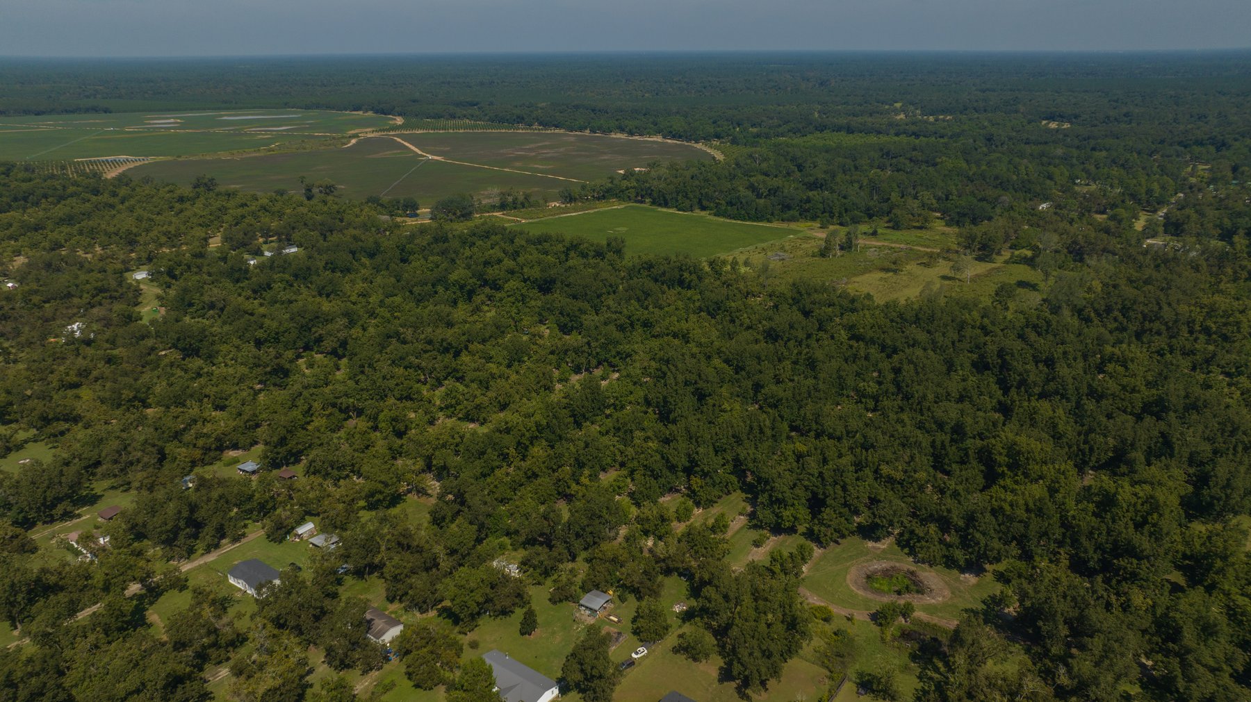 Image for 80.78+/- Acres - Turn-Key Pecan Operation w/ Row Crop Farmland