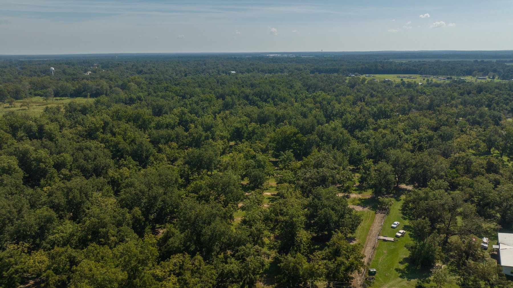 Image for 80.78+/- Acres - Turn-Key Pecan Operation w/ Row Crop Farmland