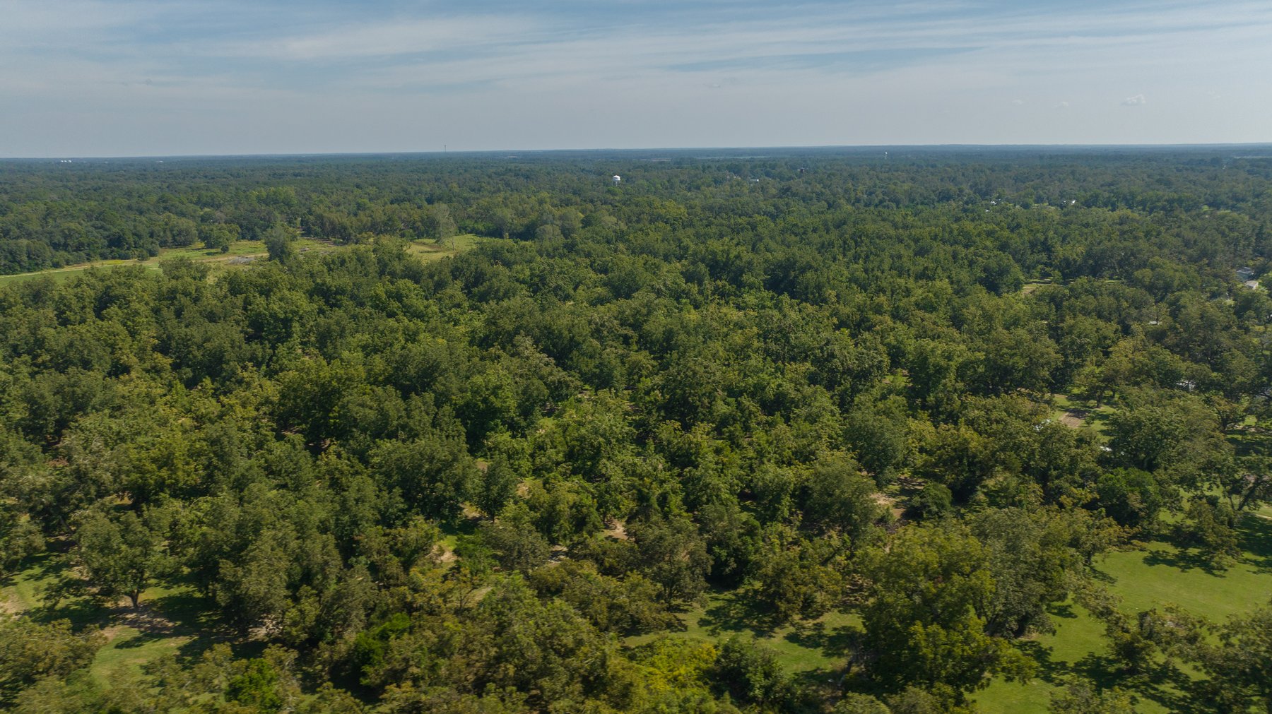 Image for 80.78+/- Acres - Turn-Key Pecan Operation w/ Row Crop Farmland