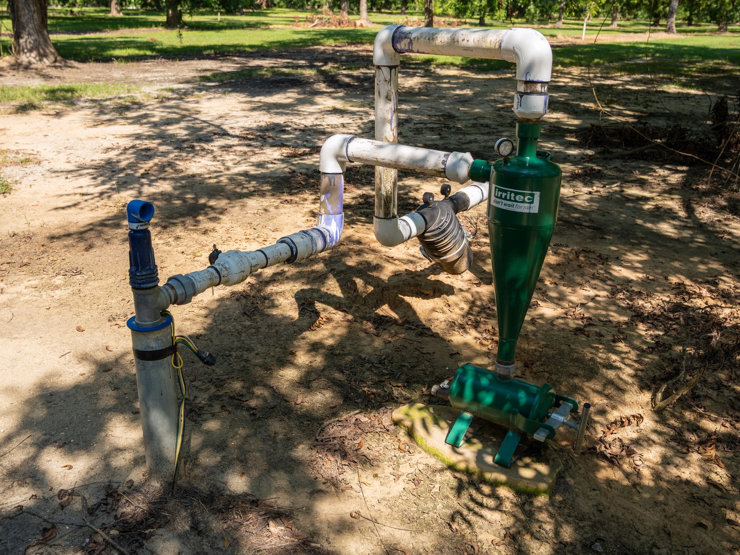 Image for 80.78+/- Acres - Turn-Key Pecan Operation w/ Row Crop Farmland