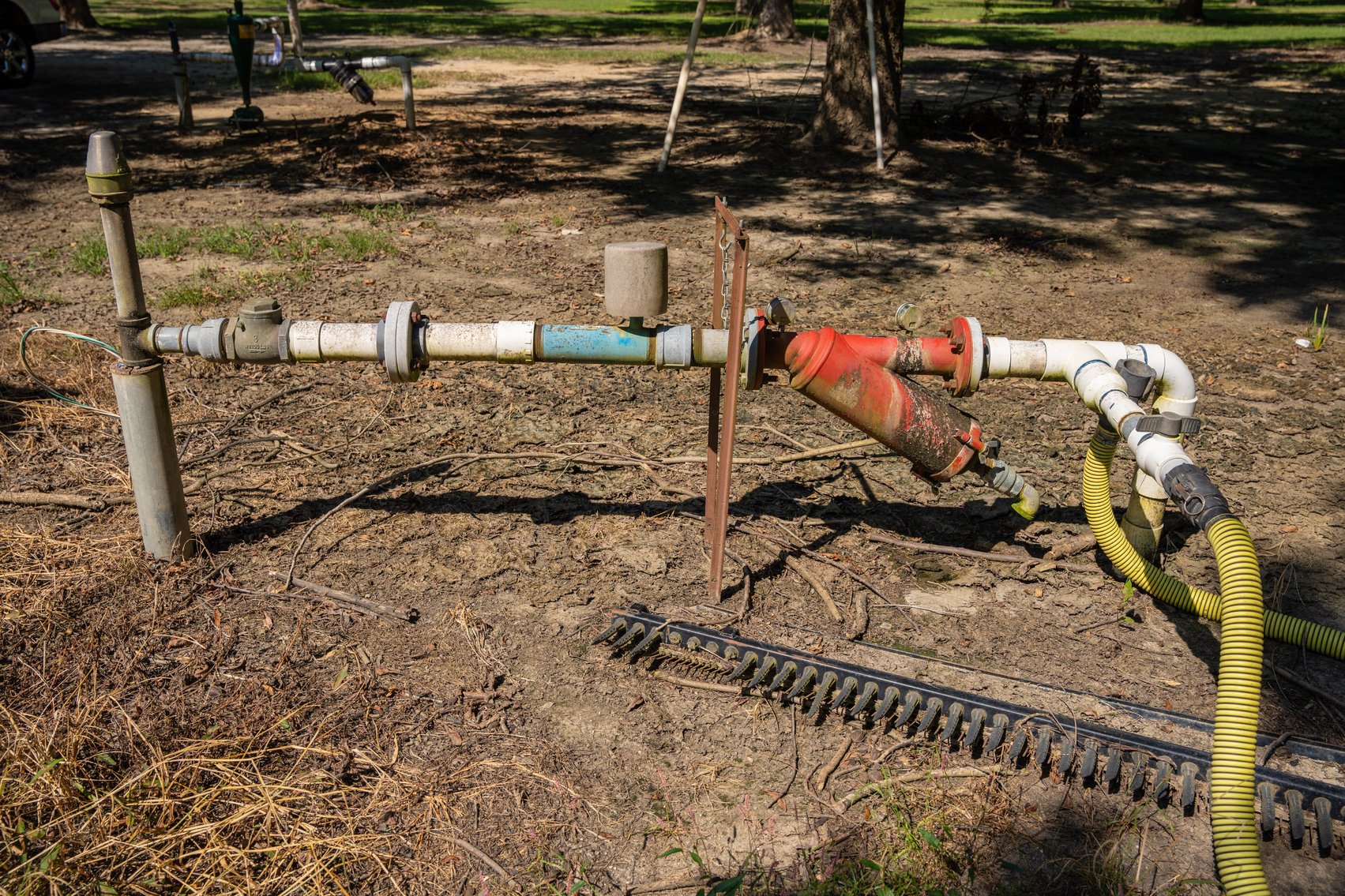 Image for 80.78+/- Acres - Turn-Key Pecan Operation w/ Row Crop Farmland