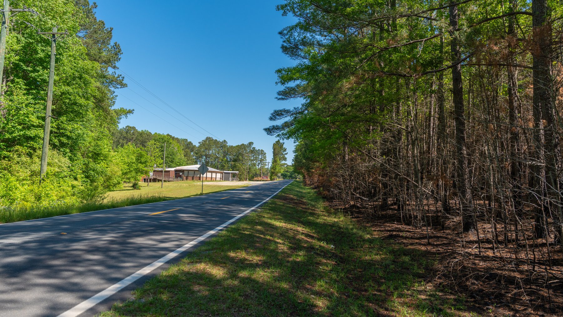 Image for Tobler Creek Place - 107.55 +/- Total Acres - Pristine Recreational Acreage w/ Homesite Potential