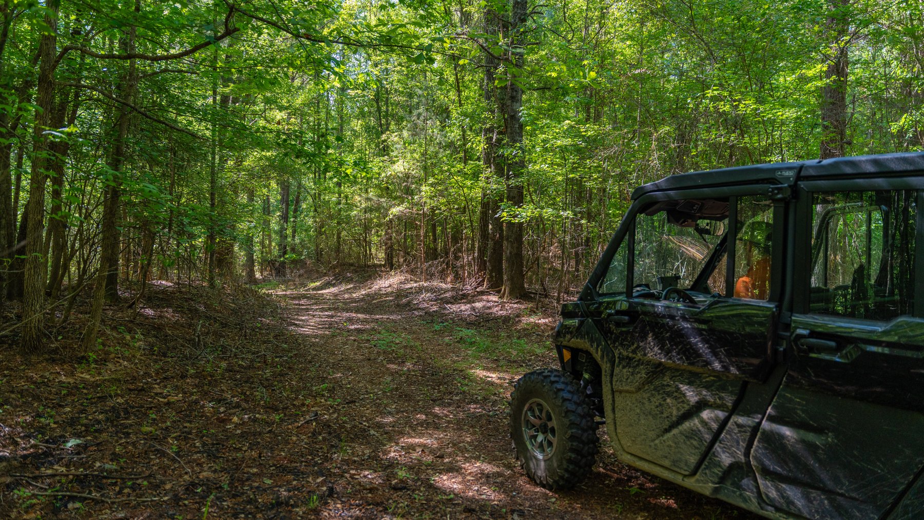 Image for Tobler Creek Place - 107.55 +/- Total Acres - Pristine Recreational Acreage w/ Homesite Potential