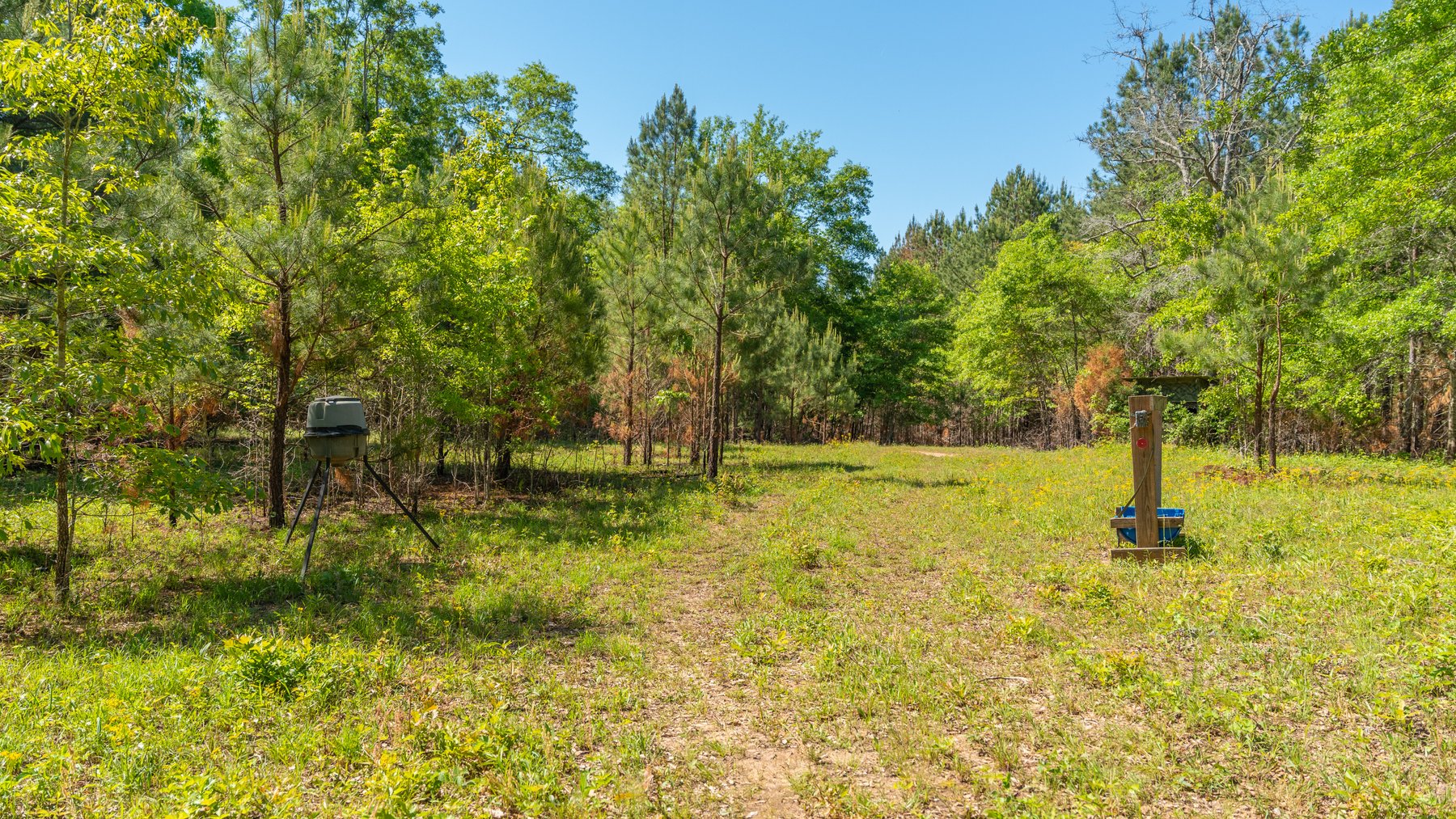 Image for Tobler Creek Place - 107.55 +/- Total Acres - Pristine Recreational Acreage w/ Homesite Potential