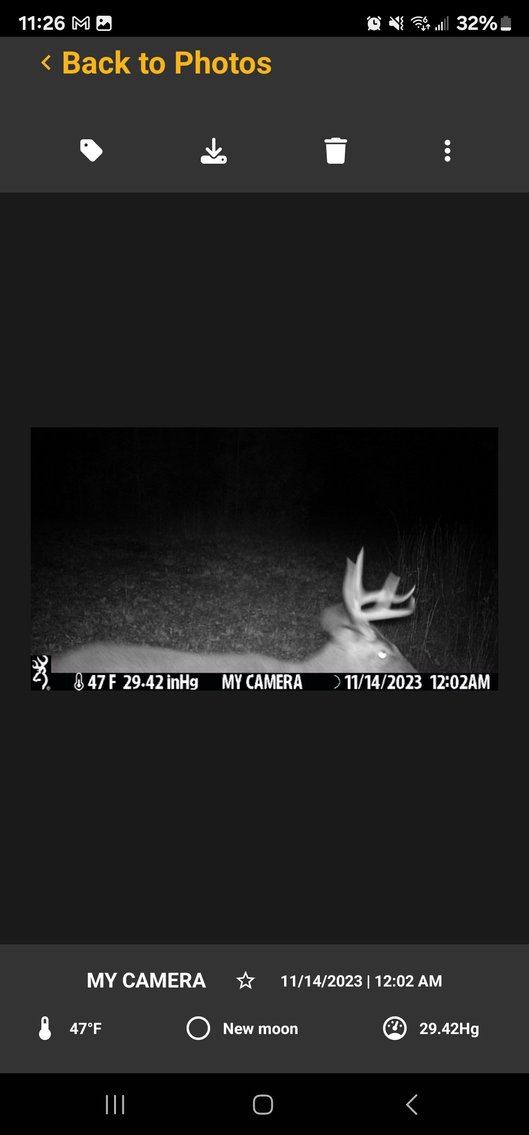 Image for Tobler Creek Place - 107.55 +/- Total Acres - Pristine Recreational Acreage w/ Homesite Potential