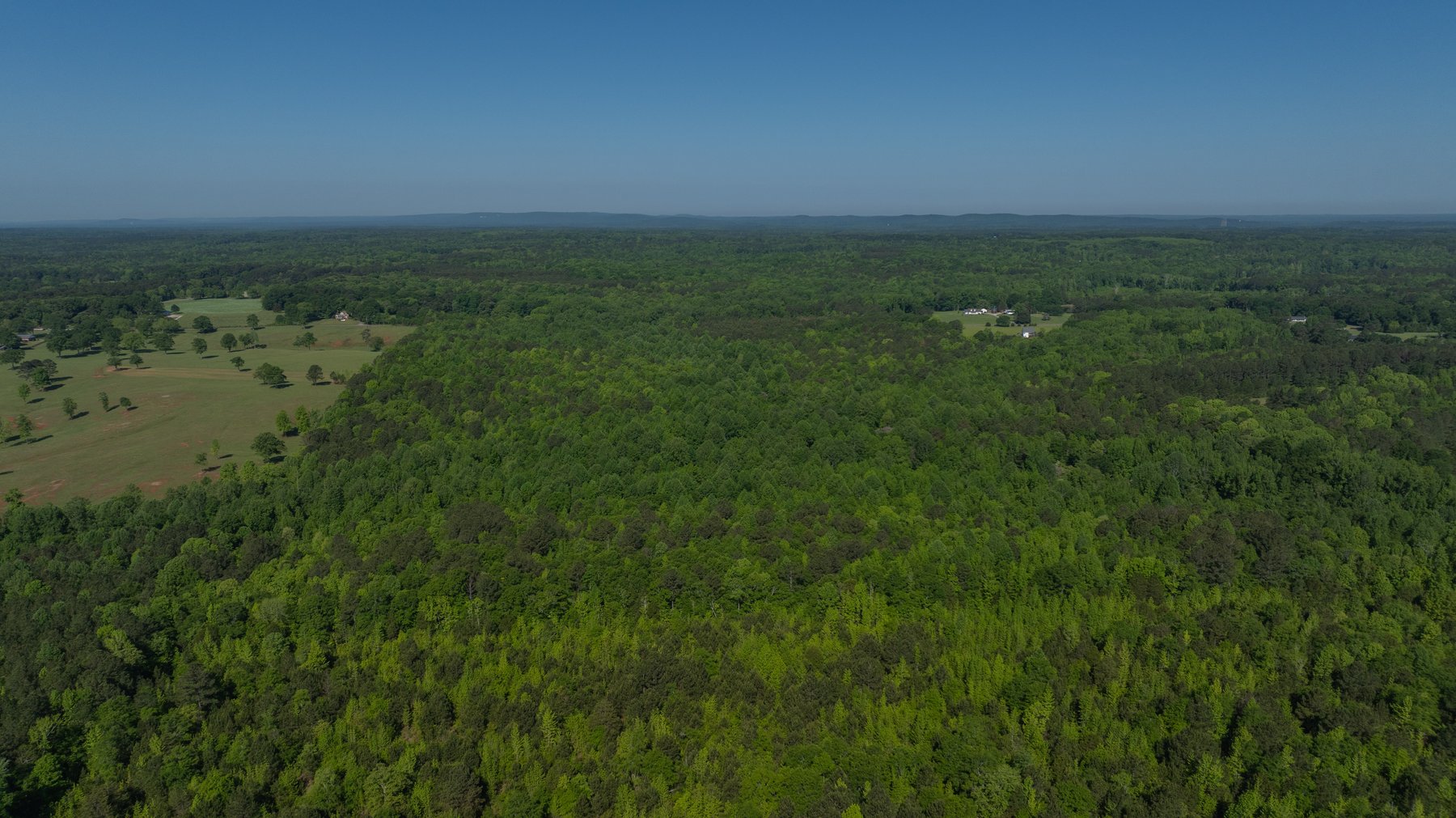 Image for Tobler Creek Place - 107.55 +/- Total Acres - Pristine Recreational Acreage w/ Homesite Potential
