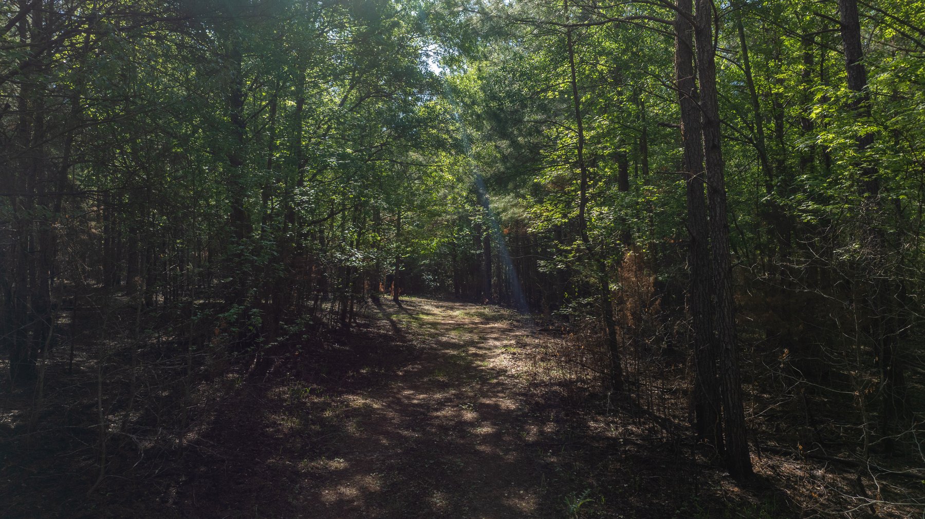 Image for Tobler Creek Place - 107.55 +/- Total Acres - Pristine Recreational Acreage w/ Homesite Potential