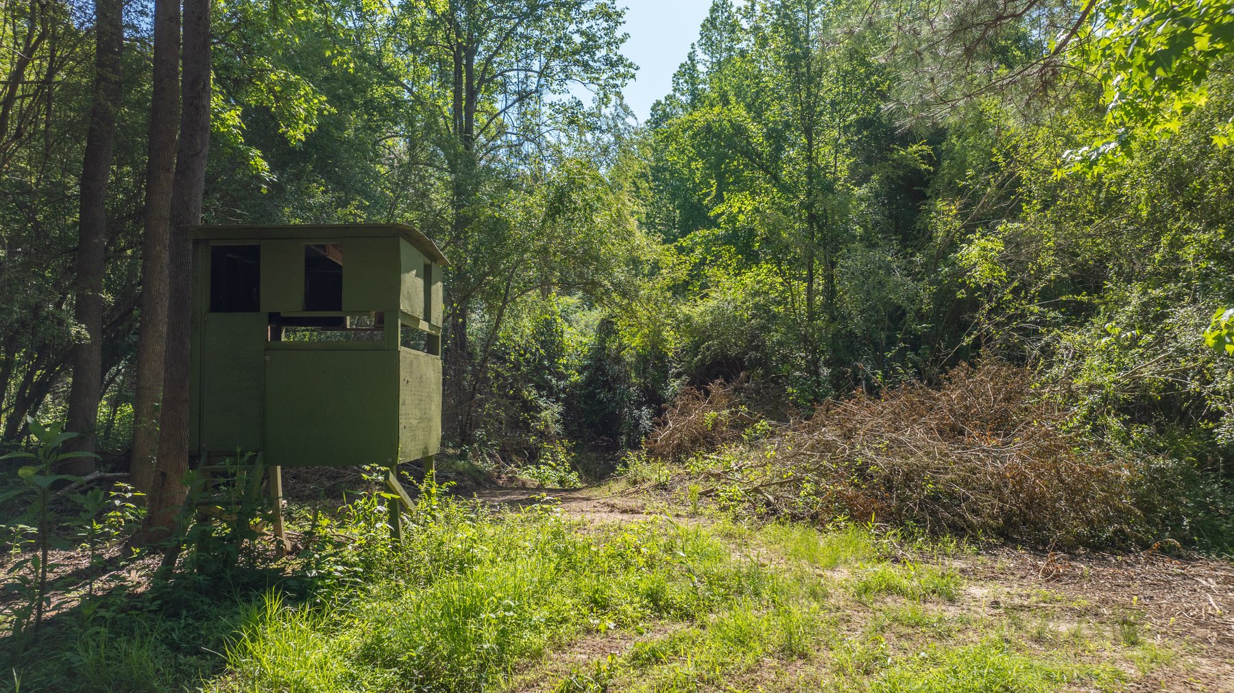 Image for Tobler Creek Place - 107.55 +/- Total Acres - Pristine Recreational Acreage w/ Homesite Potential