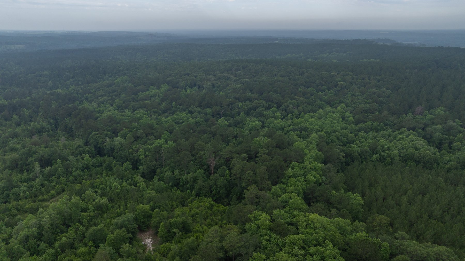 Image for Frank Bullard Trust - 60+/- Acre Recreational Timber Tract w/ Prime Hunting Opportunity