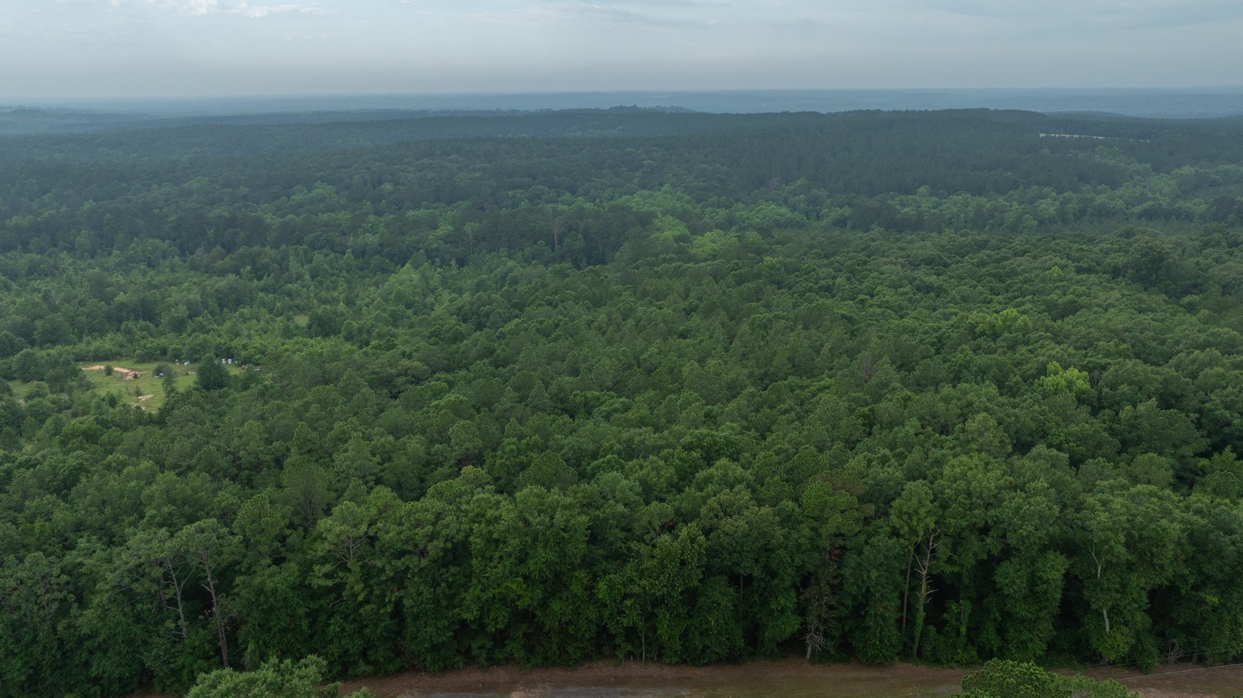 Image for Frank Bullard Trust - 60+/- Acre Recreational Timber Tract w/ Prime Hunting Opportunity