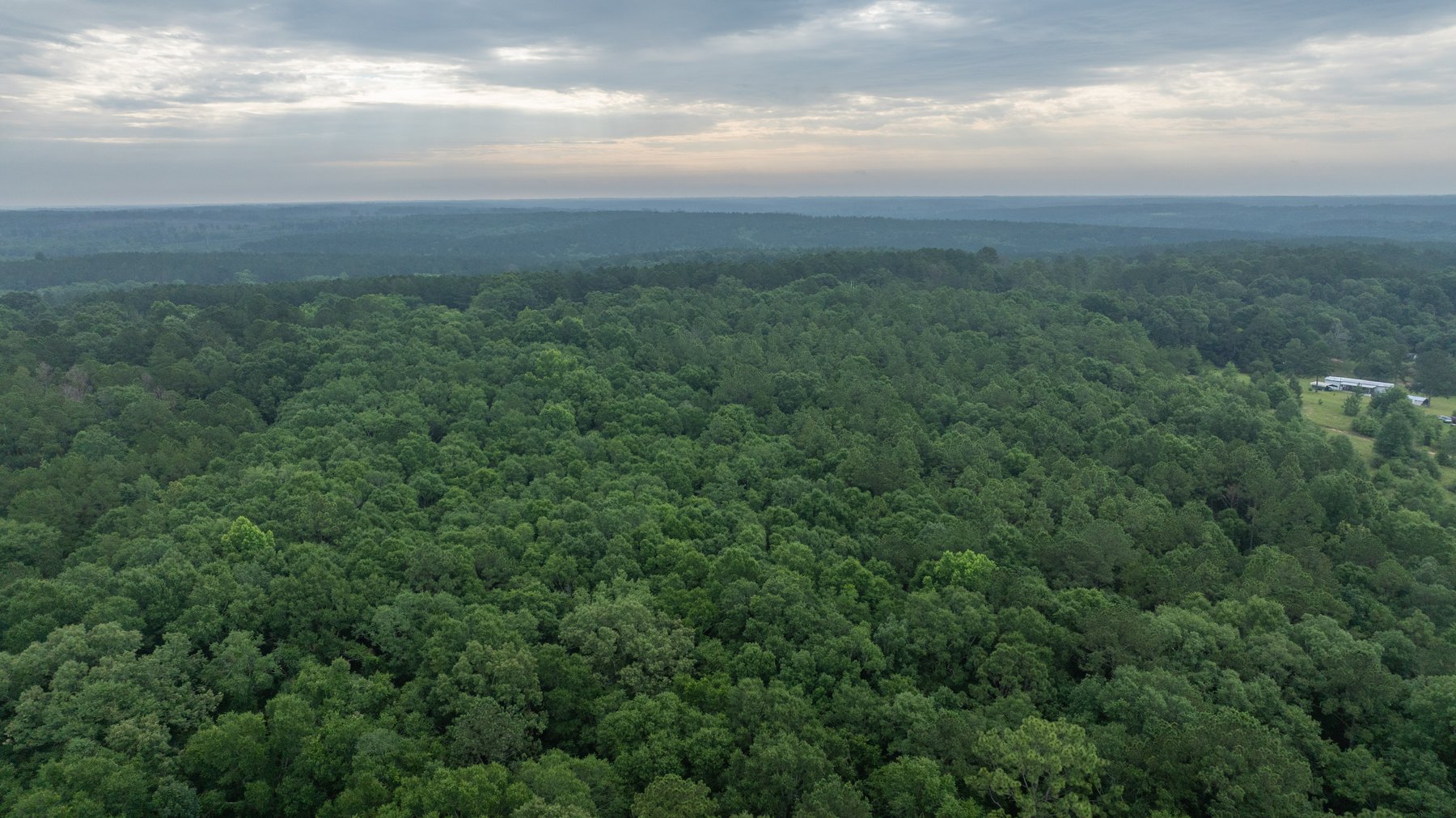 Image for Frank Bullard Trust - 60+/- Acre Recreational Timber Tract w/ Prime Hunting Opportunity