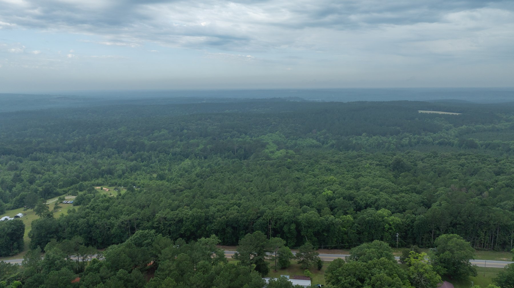 Image for Frank Bullard Trust - 60+/- Acre Recreational Timber Tract w/ Prime Hunting Opportunity