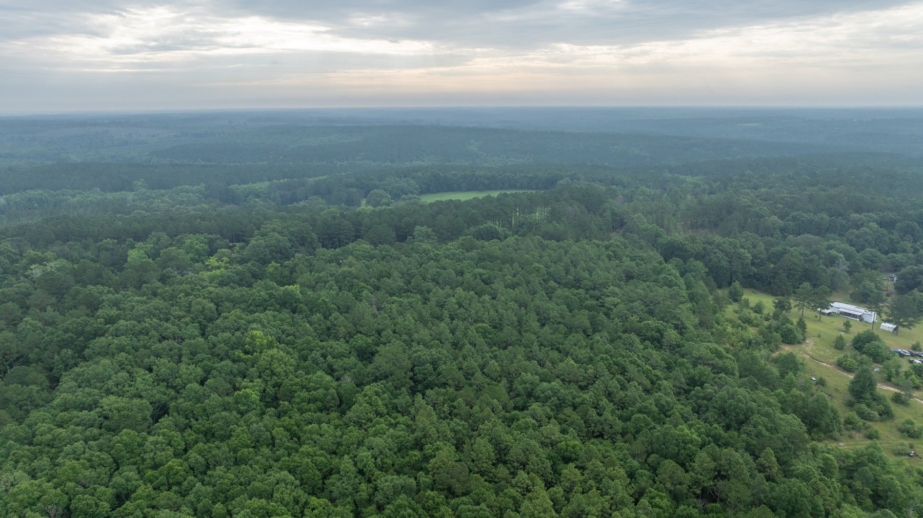 Image for Frank Bullard Trust - 60+/- Acre Recreational Timber Tract w/ Prime Hunting Opportunity